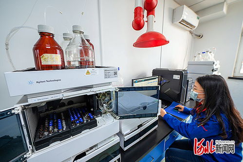 秦皇島 以科技創(chuàng)新為引擎，打造知識(shí)產(chǎn)權(quán)強(qiáng)市典范